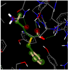 Valtorcitabine docked to PepT1 transporter protein